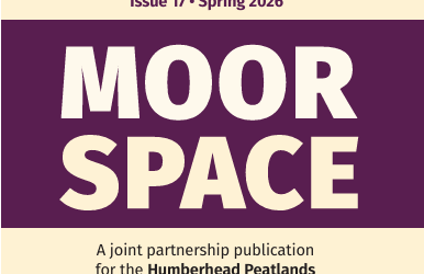 LIFE Moor Space Newsletters – Issue 17